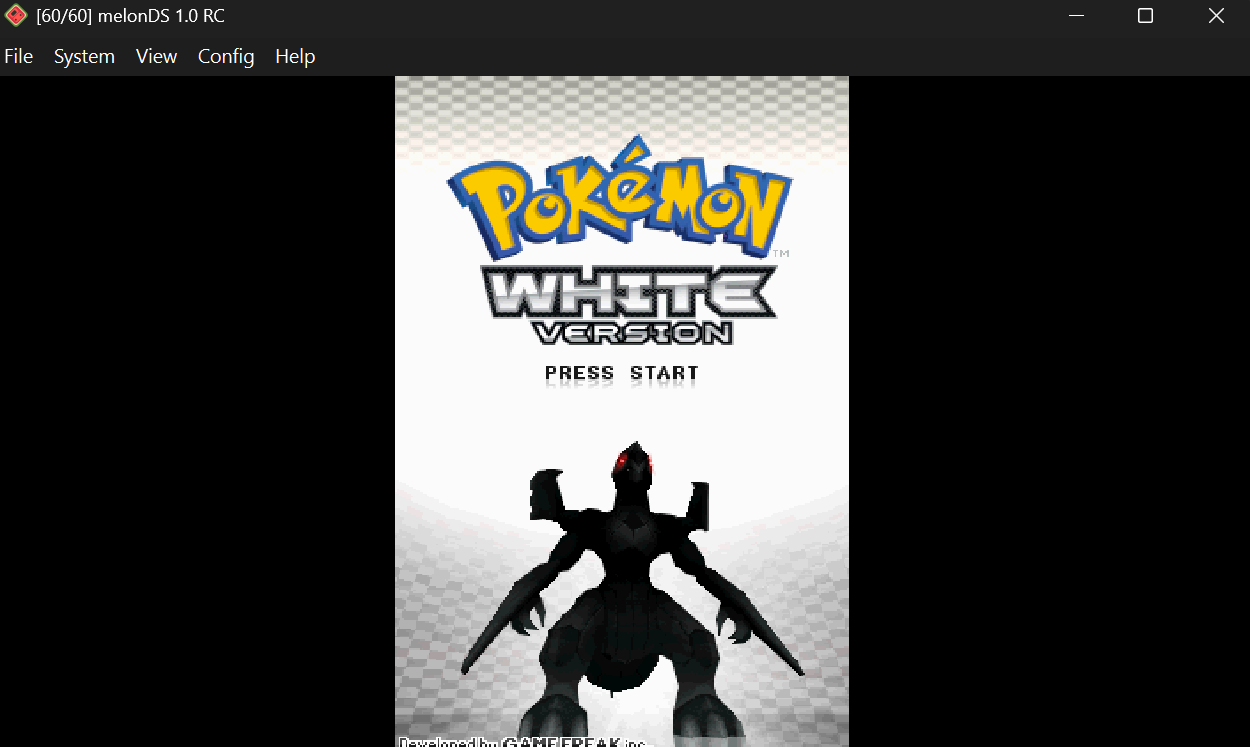 DS Right Image